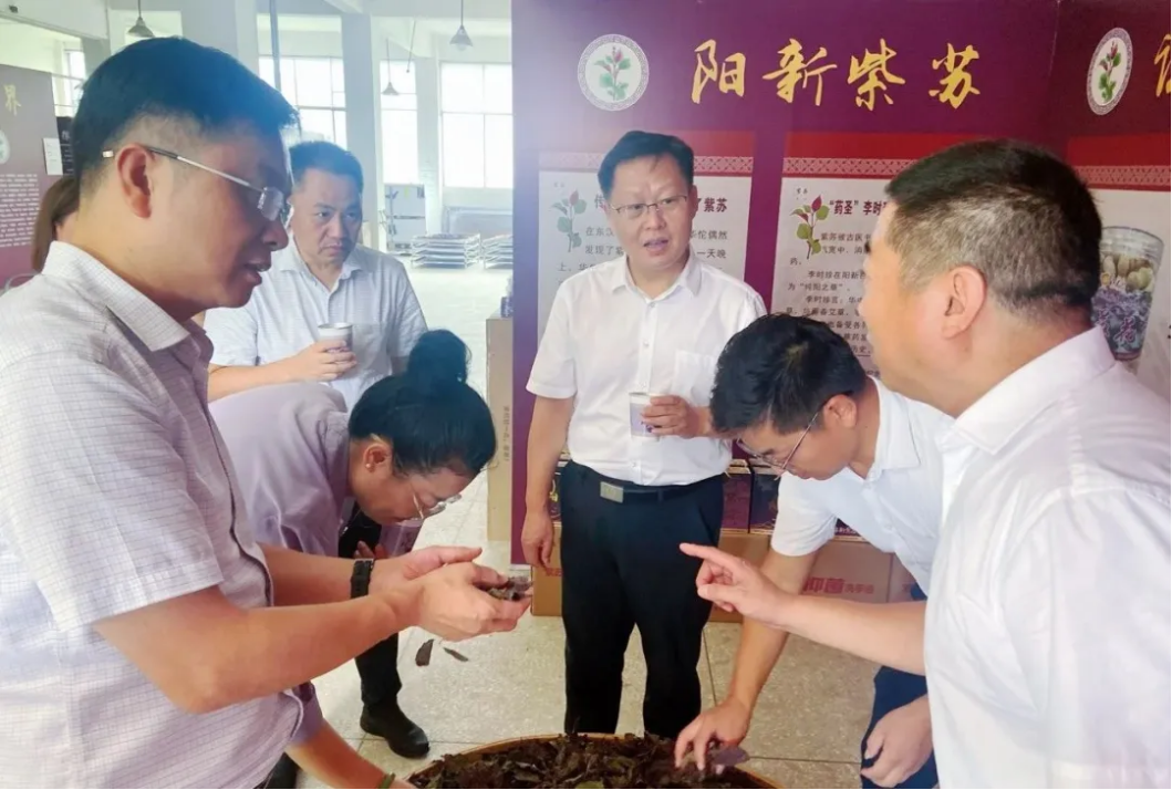 企业微信截图_17533203555752.png